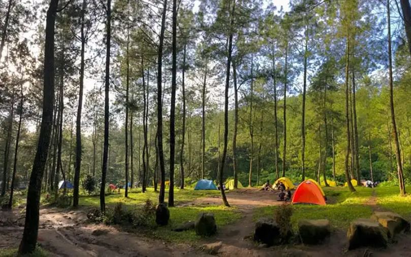 5 Tempat Camping di Malang yang Cocok untuk Liburan Seru Bersama Keluarga
