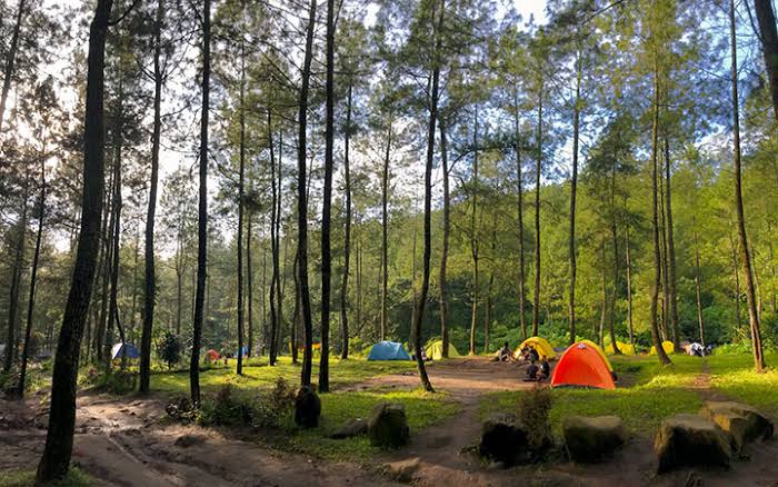 7 Tempat Camping Terpopuler di Malang: Dari Hutan Pinus Hingga Tepi Danau Syahdu