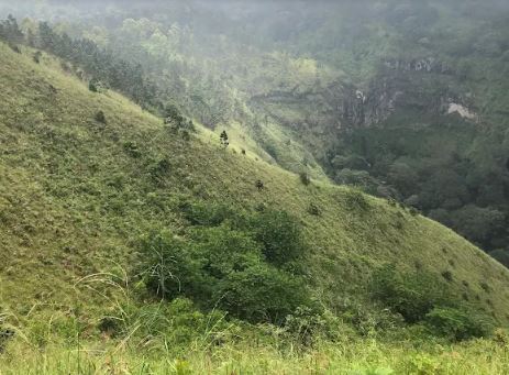 Budug Asu – Spot Camping Malang dengan Pemandangan Gunung Arjuno